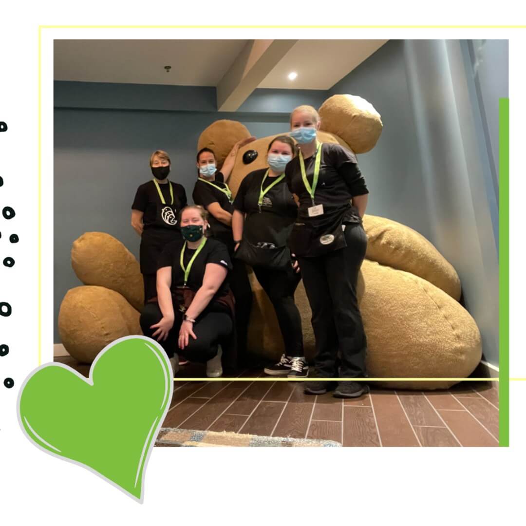 best-residential-cleaning-team1